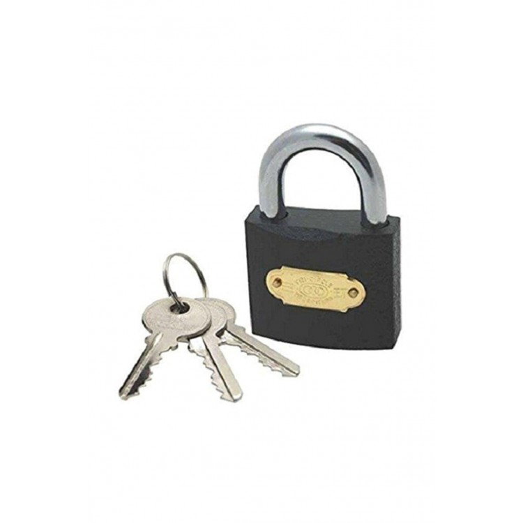 Gray Padlock 25 mm