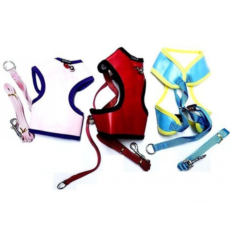 Zilli Puppy Harness and Travel Strap