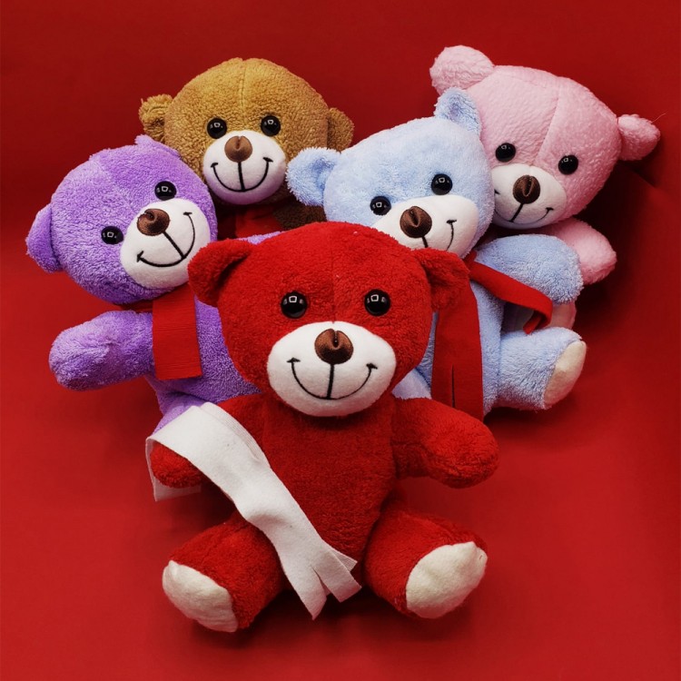 Plush Teddy Bear