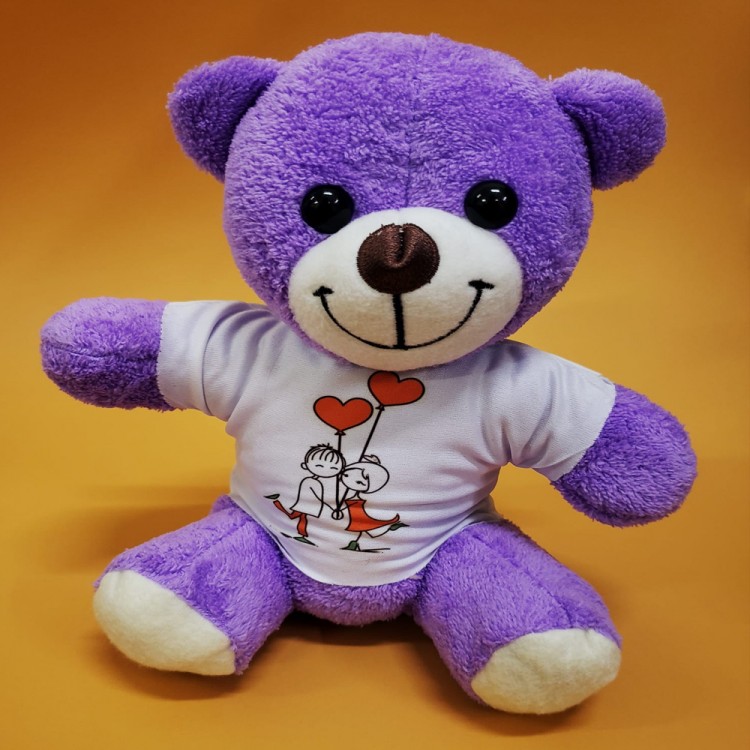 T-Shirt Plush Teddy Bear
