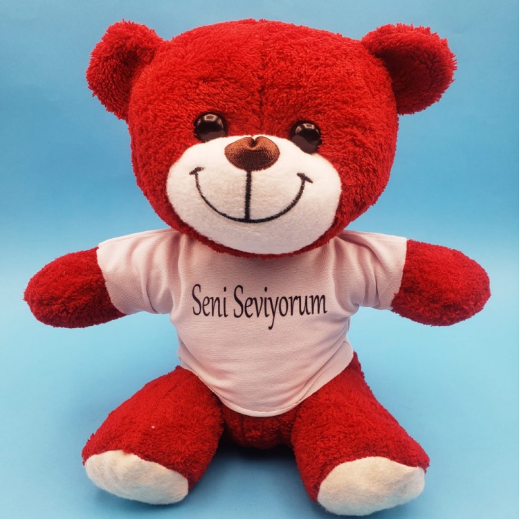 Red Teddy Bear I Love You T Shirt