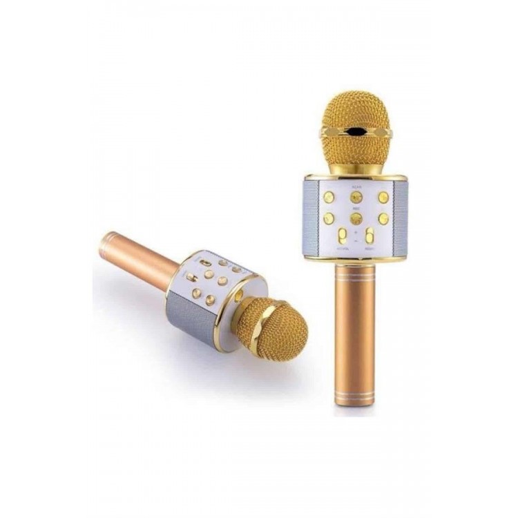 Karaoke Microphone with Internal Speaker SD-usb-aux InputBluetooth Speaker