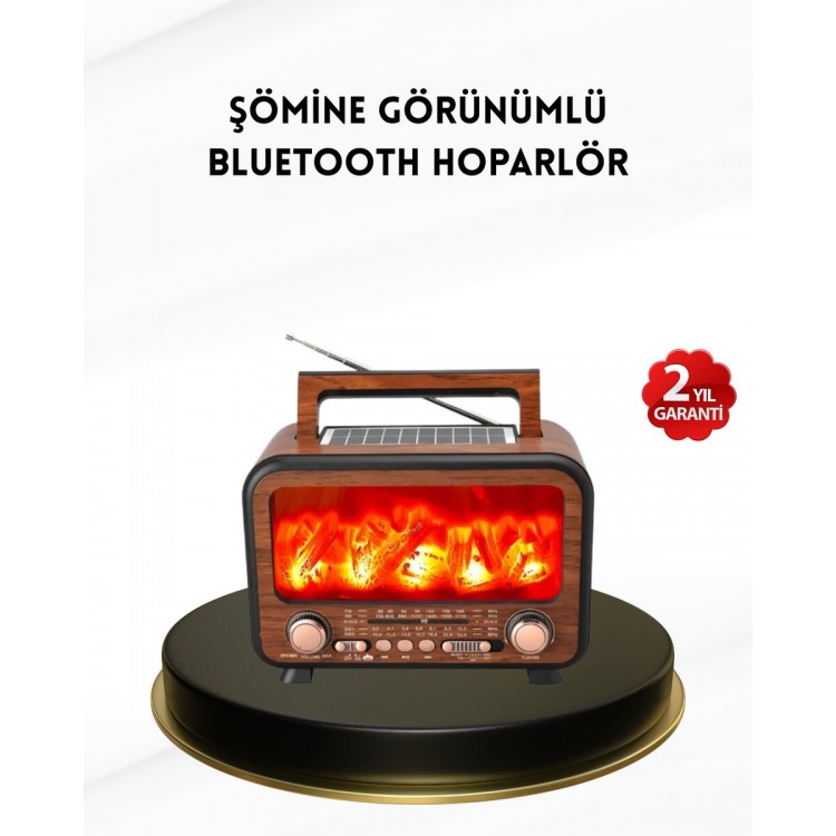 Solar Bluetooth Speaker with Flame Light Effect Radio SupportedPortable Model