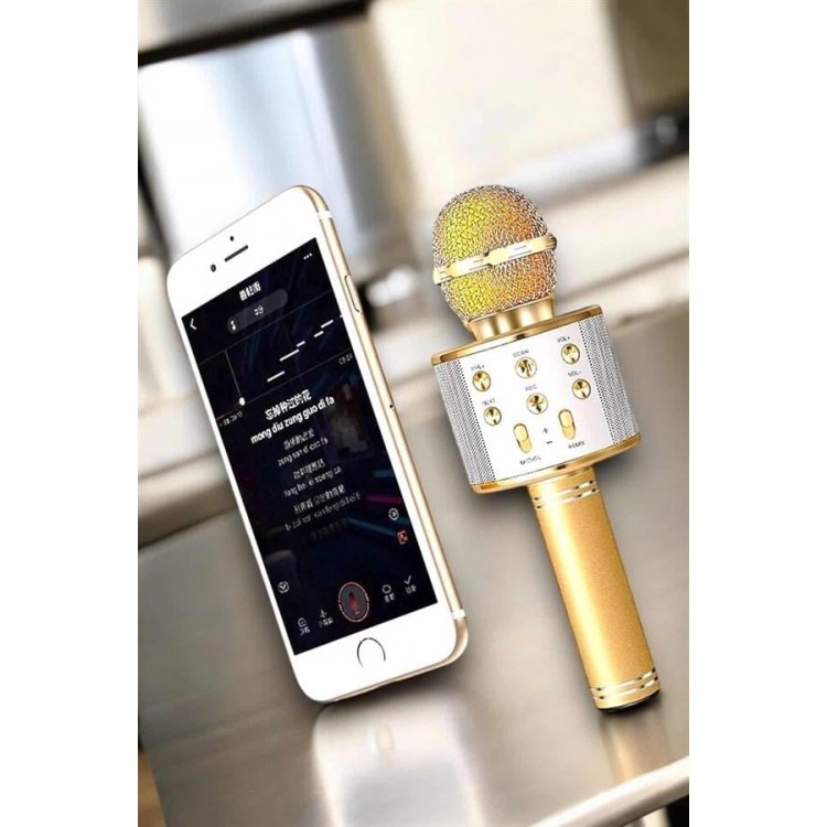 Şarjlı ve Uzun Pil Ömürlü Karaoke Mikrofon USB Bellek Destekli Profesyonel Ses