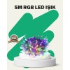 50’li LED Şeffaf Kablolu 5 m Aydınlatma Işık Süsleme Led