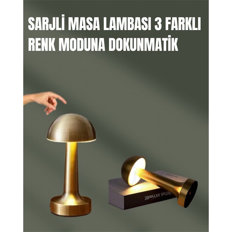 100% Gradually Adjustable Light – USB Rechargeable Desk Lamp