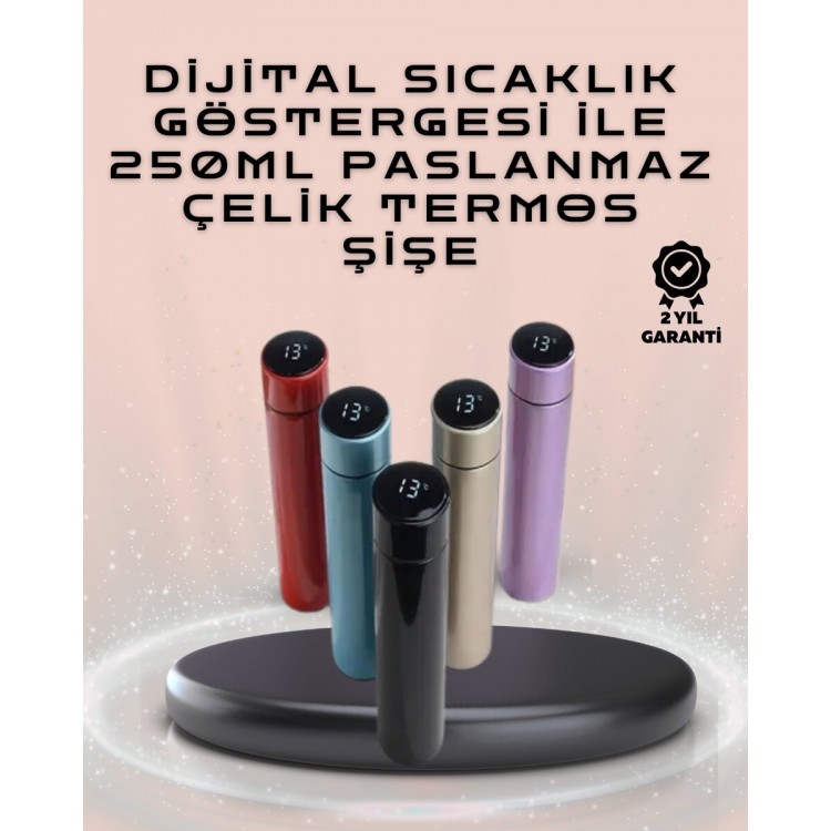 250ml LED Ekranlı Paslanmaz Çelik Akıllı Termos