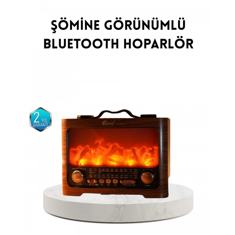 Solar Speaker with Fireplace Effect Bluetooth 5.3 RadioAUX USB TF Supported