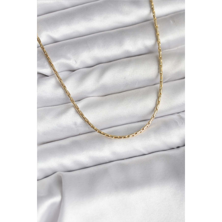 14K Gold Renk Kaplama İnce Zincir Model CM Kadın Kolye 5886