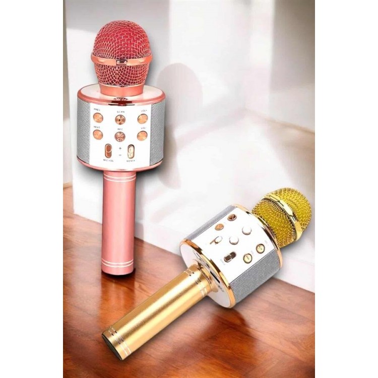 Wireless Bluetooth Karaoke Microphone with USB and AUX InputHigh Sound Quality