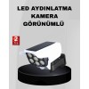 Solar Bahçe Aydınlatması Su Geçirmez IP66 PIR Sensörlü Uzun Çalışma Süreli