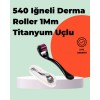 Titanium Needle Derma Roller – Skin Care at HomeFor Uygun