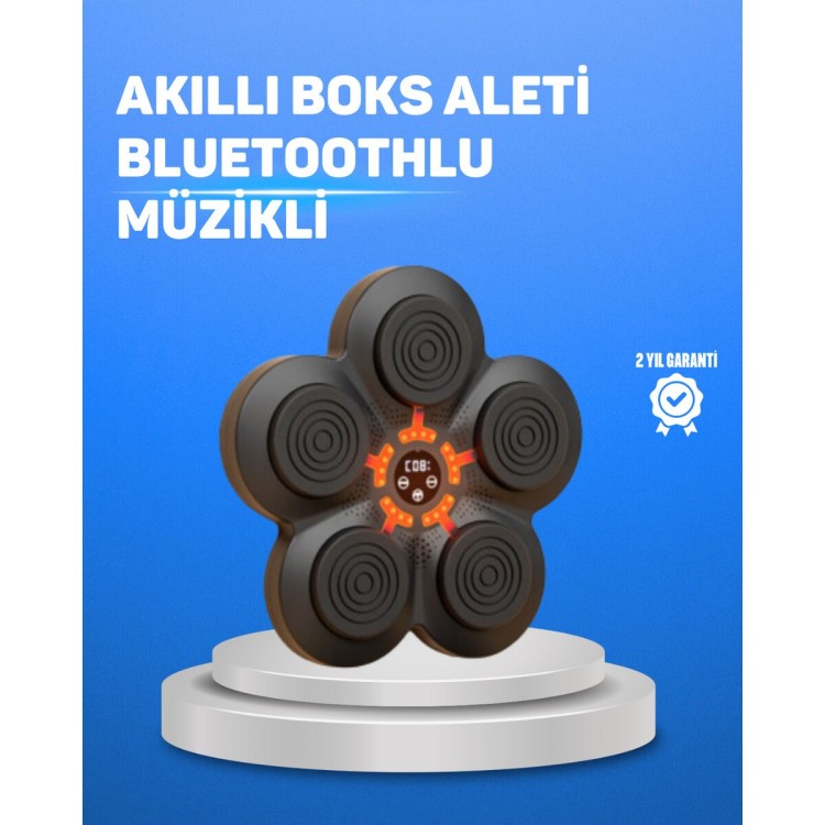 Müzikli Boks Duvar Paneli Akıllı Işık Sistemli Refleks ve Kondisyon Aleti