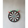 17 Inch Professional Dartboard Durable Construction and4 Metal Darts
