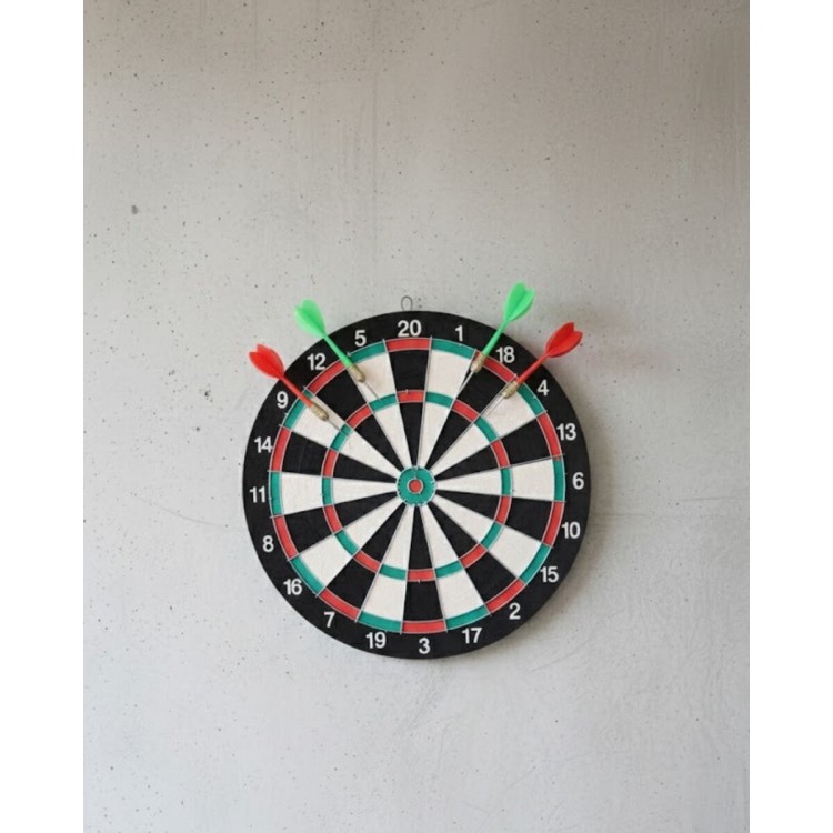 17 Inch Professional Dartboard Durable Construction and4 Metal Darts
