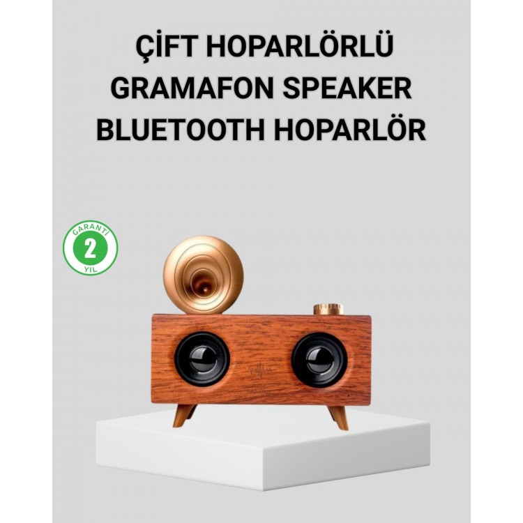 Retro Gramophone Bluetooth Speaker Dual Stereo Sound FMRadio Supported