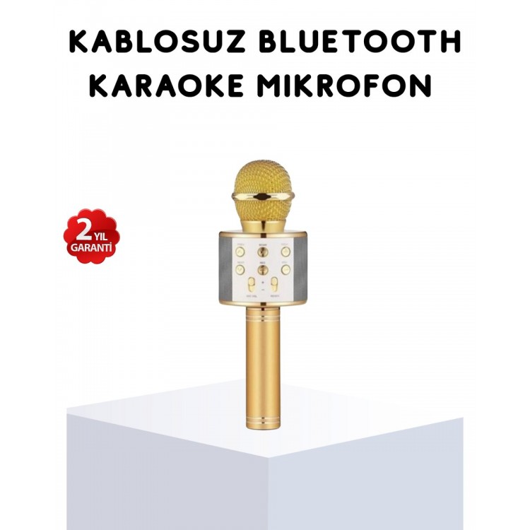 Karaoke Microphone Bluetooth USB AUX Input with Echo Effect