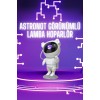 Astronot Şeklinde Bluetooth Hoparlör Gökyüzü Kumandalı Aydınlatma Lamba