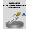 Bluetooth destekli karaoke mikrofonu, evde eğlencenin en keyifli ve pratik yolunu sunar. USB ve AUX girişleri ile geniş bir kullanım alanı sağlayan bu mikrofon, farklı cihazlarla kolay bağlantı kurarak dilediğiniz müziği anında oynatmanızı sağlar. Bluetoo