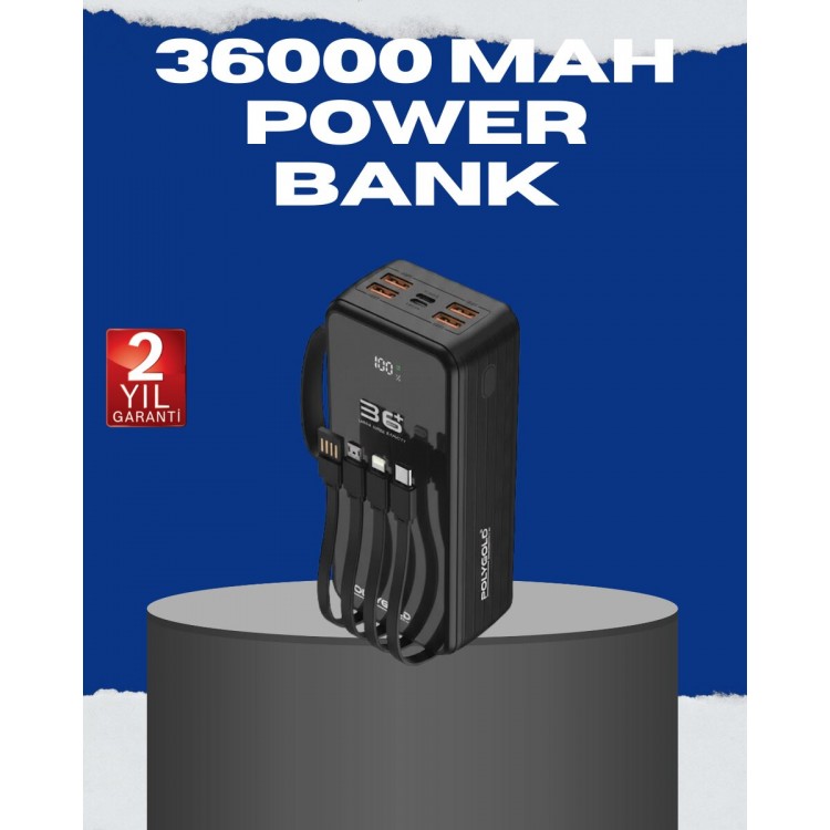 It's Output Portable Charger with Digital Display