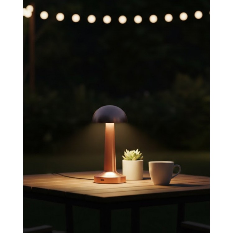 Modern Bronze Table Lamp 3 Colors LED Touchrechargeable Model