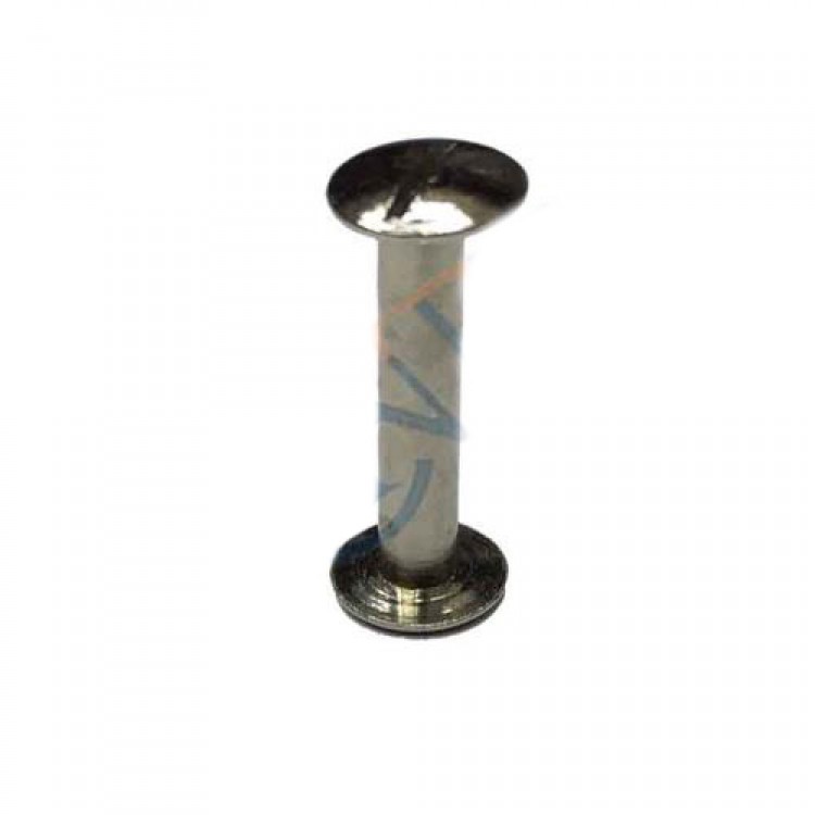 Cilt Menü, Katalog, Kartela Vidası, 20 mm - Nikel, 1 Adet