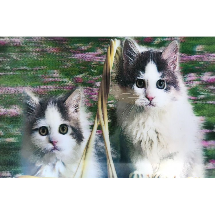 5D Diamond Painting Cute Cats Double Cat Picture Painting 40x60 cm