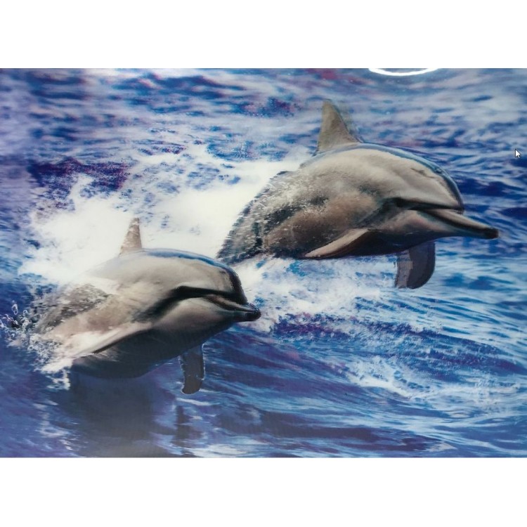 5D Diamond Painting Cute Dolphins Binary Dolphin Picture Painting 30x40 cm