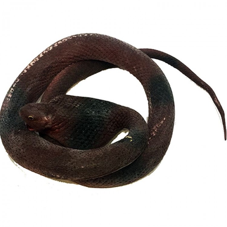 Brown Color Flat Head Soft Realistic Cobra Snake 95 cm