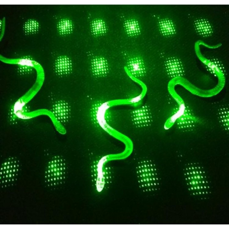 Transparent Color Glowing in the Dark Phosphorescent Snake 13 cm 1 Piece