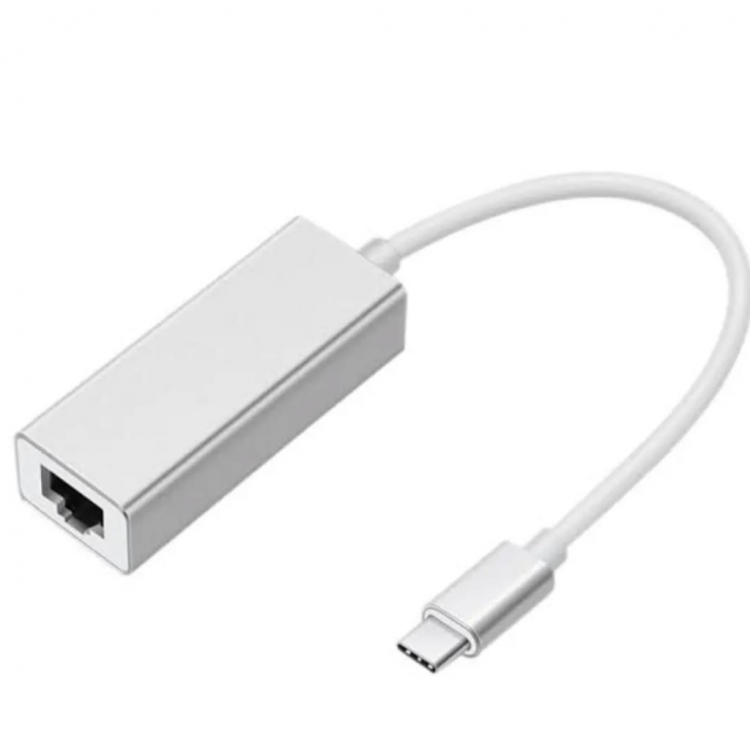 ZR117 Type-C Ethernet Metal Çevirici