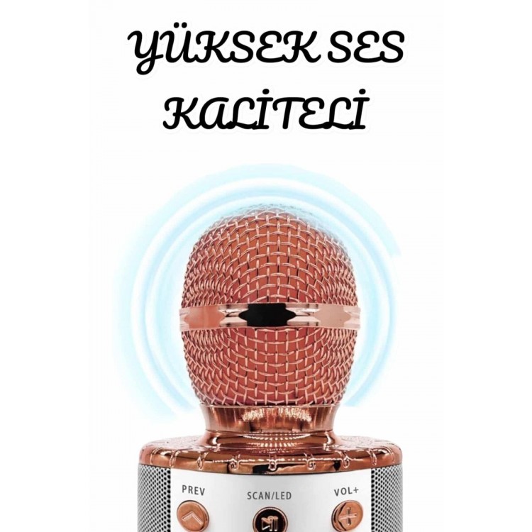 Şarjlı ve Uzun Pil Ömürlü Karaoke Mikrofon USB Bellek Destekli Profesyonel Ses