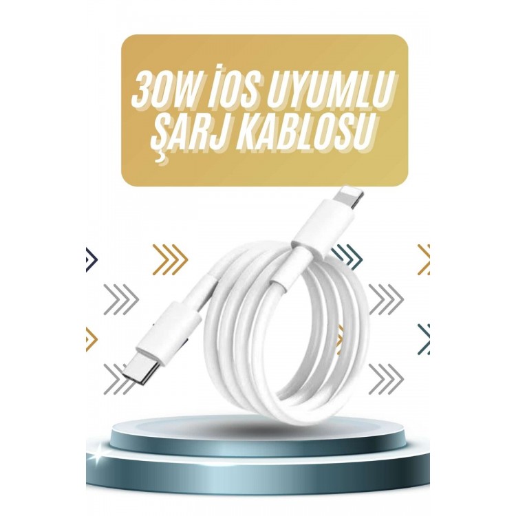 IOS Tüm Serilerle Uyumlu 30W Hızlı Şarj Aleti 11 12 13 14/Pro Max Mini Plus