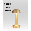 %100 Kademeli Ayarlanabilir Işık – USB Şarjlı Masa Lambası