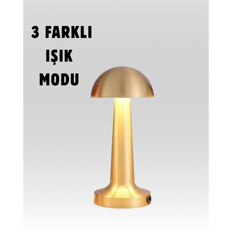 %100 Kademeli Ayarlanabilir Işık – USB Şarjlı Masa Lambası