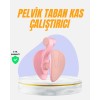 Evde Kullanıma Uygun Uyluk Kalça ve Pelvik Egzersiz Aleti