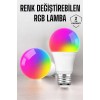 Color Changing RGB Light LED Bulb A+Enerji 15Watt Led Light