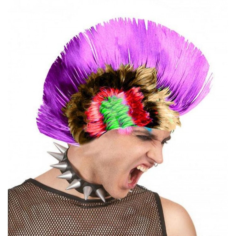Mohican Mohawk Punk 70's 80's Wig Rainbow Wig with Purple Fringes