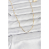 CM 14K Gold Renk Burgu Model 60 cm Kadın Kolye 5886