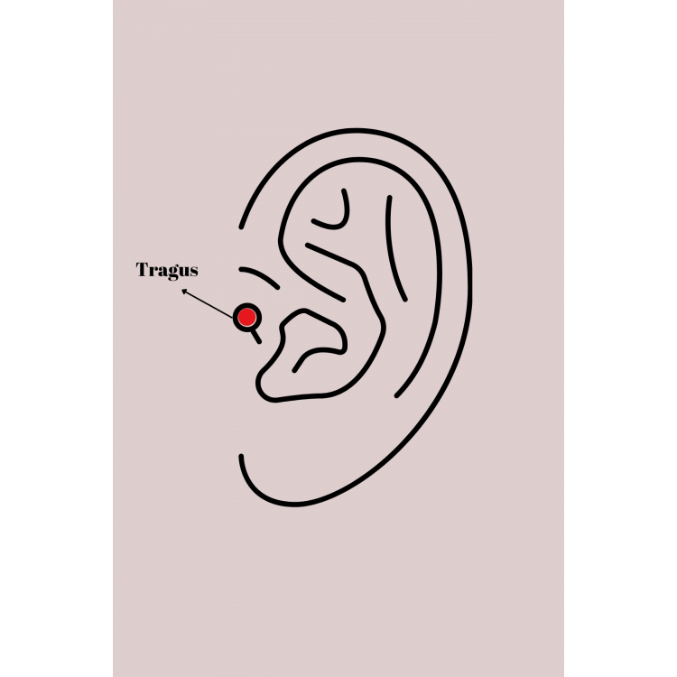 316L Çelik Gümüş Renk Zirkon Taşlı Kalp Tragus Piercing 5886