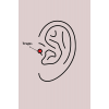316L Çelik Gümüş Renk Zirkon Taşlı Tragus Piercing 5886