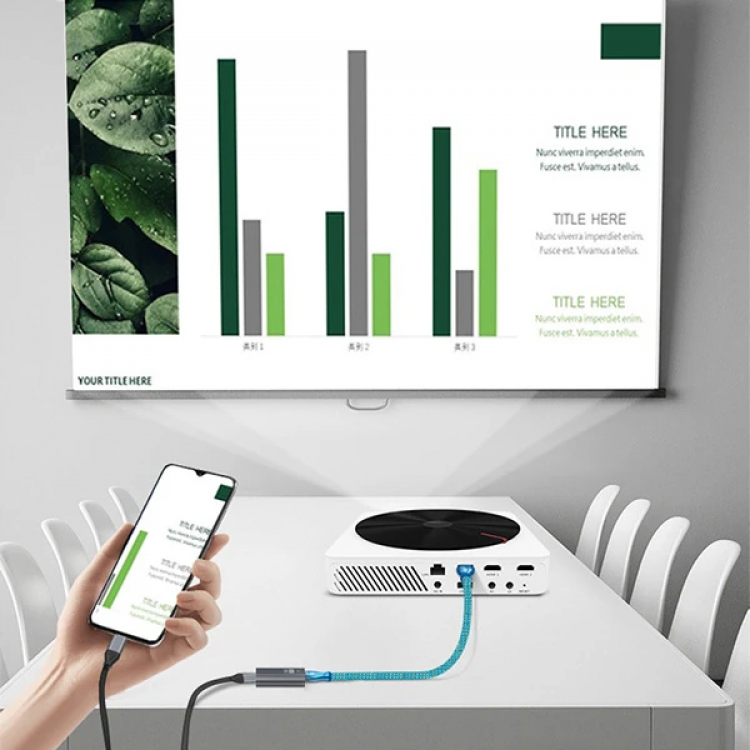 ALLY USB-C input DP output 4K Dönüştürücü Adaptör 60H-(5775)