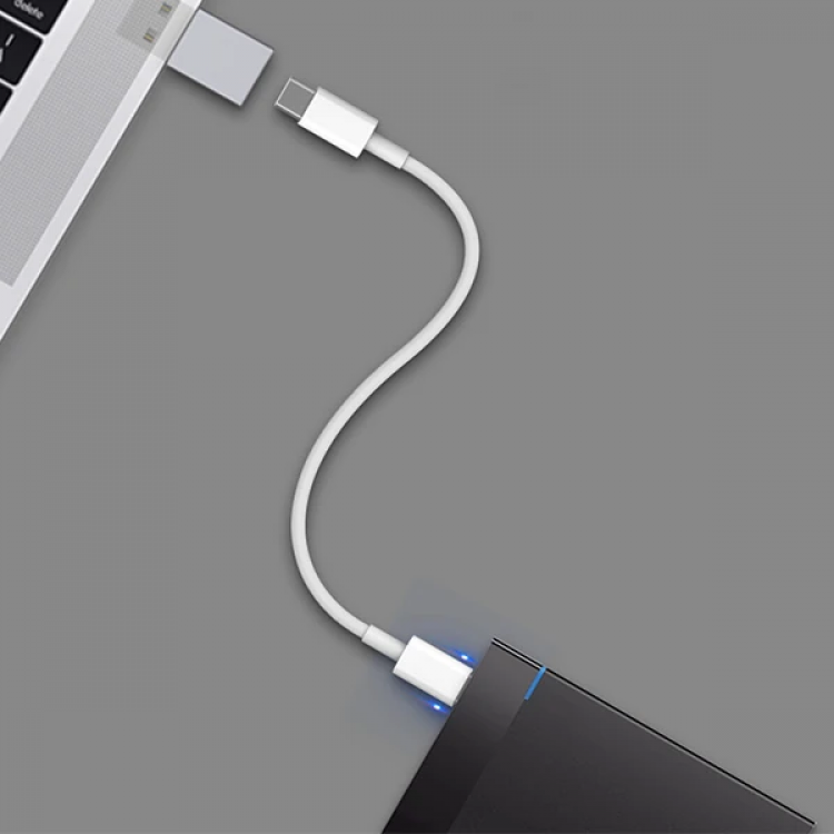ALLY MH-301 USB to Type-C Dişi Çevirici Dönüştürücü Adaptör-(5775)