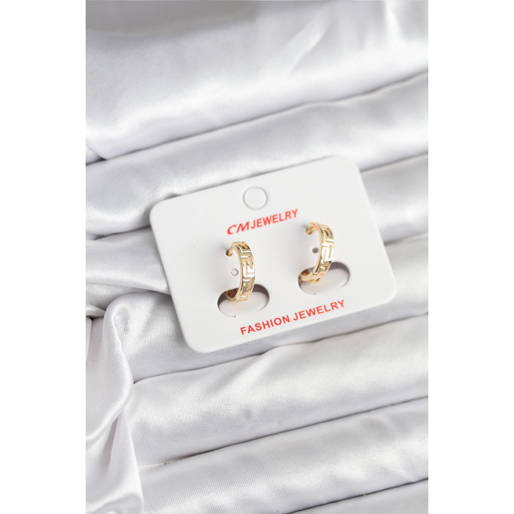 14K Gold Renk Kaplama CM Kadın Küpe 5886