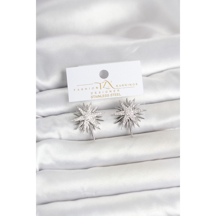 Zircon Stone Brass Silver Color Polar Star Women's Earrings TJ-BKP11781
