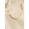 316L Stainless Steel Gold Color 45 cm Italian Chain Model Women's Necklace - TJ-BKO5902