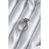 Silver-Coloured Leopard Model Zircon Stone Detail VIP Women's Ring - TJ-BYK2854