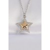 316L Stainless Steel Chain Silver Color Zircon Stone Design Gold Color Star Necklace - TJ-BKO8662