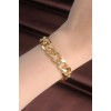 316L Stainless Steel VIP Series Gold Color Gourmet Model Bracelet - TJ-BB6057