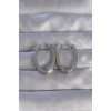 Rice Silver Color Zircon Stone Oval Model Earrings - TJ-BKP9078